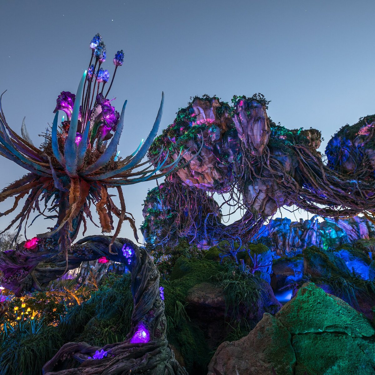 Pics: Pandora - World of Avatar at Disney's Animal Kingdom