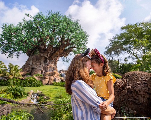 places to visit in disney world orlando