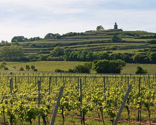 german wine tourism