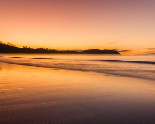 waiheke island day trip