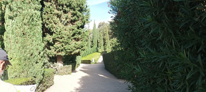 Imagen 6 de Jardines de Santa Clotilde