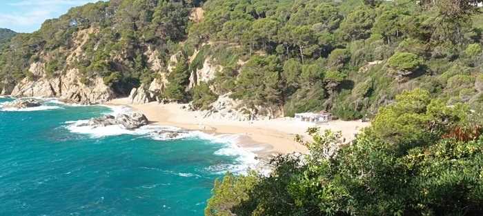 Imagen 6 de Playa Cala Sa Boadella