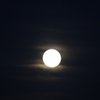 Dreamer601031