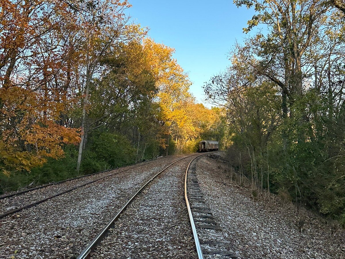 Discover Kentucky's Beauty with Rail Explorers USA Bluegrass Tour