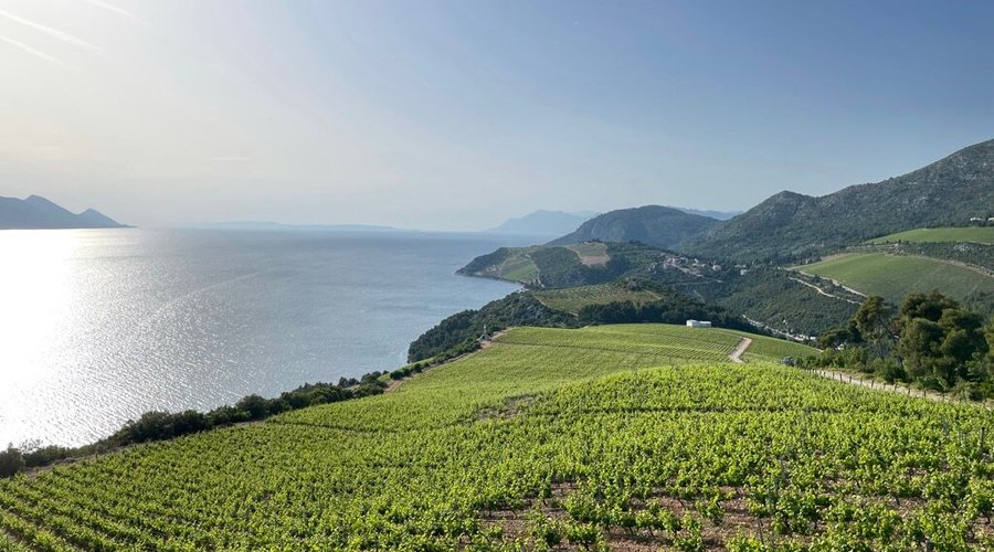 Terra Madre Winery - Komarna - Terra Madre Winery의 리뷰 - 트립어드바이저
