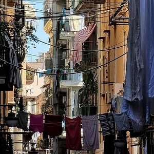 Quartieri Spagnoli 1536 - 💛RADICI DELLA LINGUA NAPOLETANA❤️  🇮🇹ITALIANO-NAPOLETANO-CATALANO🇪🇸