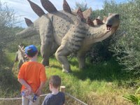 Latest travel itineraries for Dinosaur Park and Leisure Dinolandia in  December (updated in 2023), Dinosaur Park and Leisure Dinolandia reviews,  Dinosaur Park and Leisure Dinolandia address and opening hours, popular  attractions, hotels