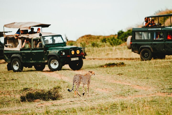 SEVEN BY FAR TOURS TRAVEL KENYA Nairobi All You Need to Know