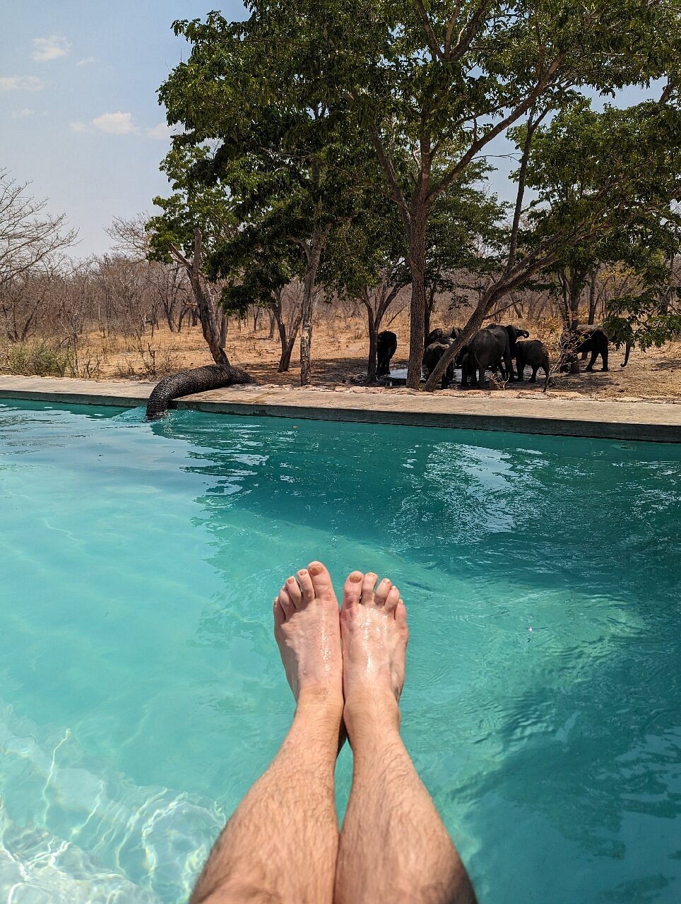 gwango heritage resort hwange safari lodge