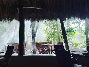 Comedor