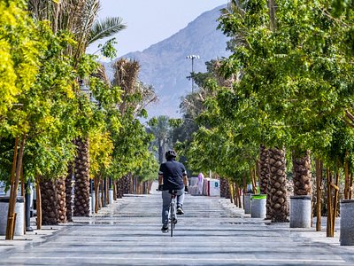 taif travel guide