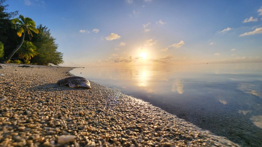 Amazing Lagoon View