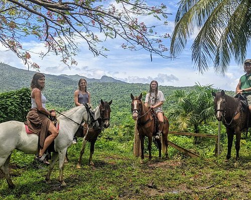 el yunque tours tripadvisor