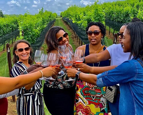 wine tour georgia
