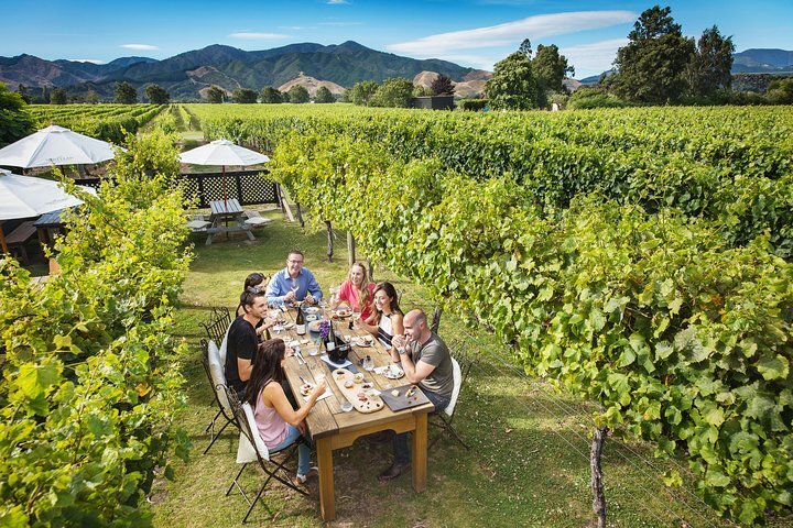 ALLAN SCOTT FAMILY WINEMAKERS All You Need to Know BEFORE You Go