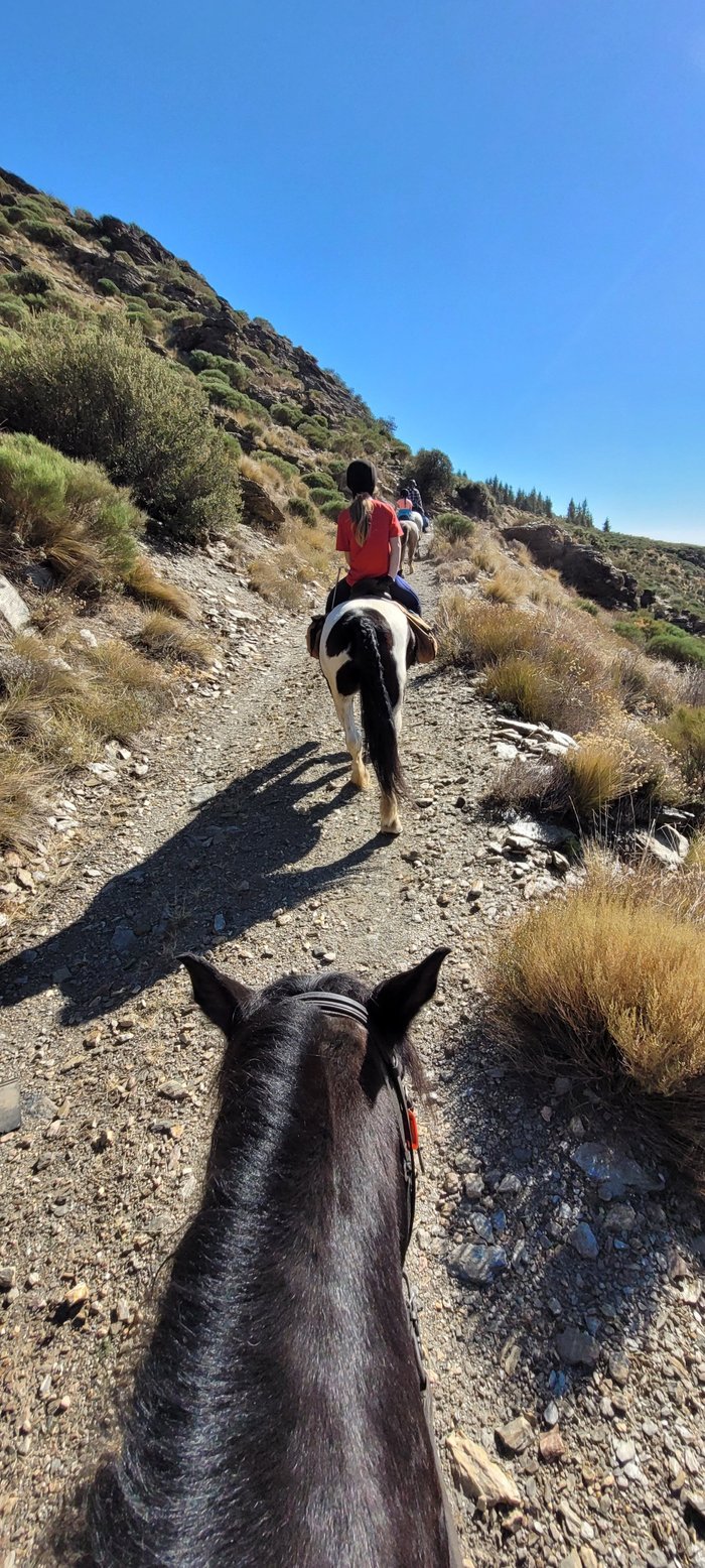 Imagen 3 de Caballo Blanco Horse Riding