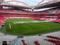 Lisbon: Luz Stadium Tour and SL Benfica Museum Ticket