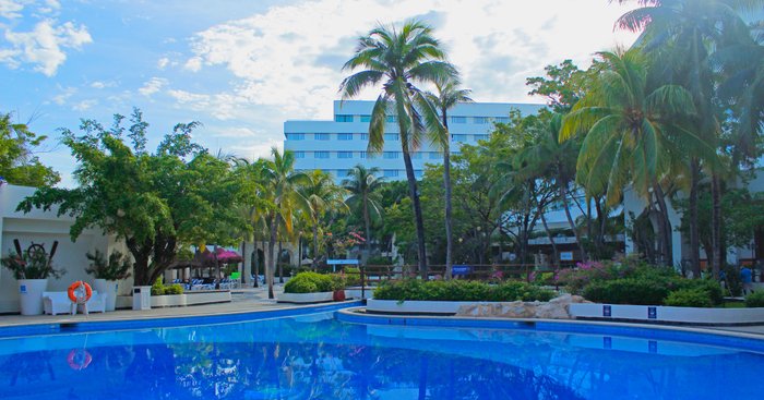 Imagen 2 de Hotel Oasis Palm