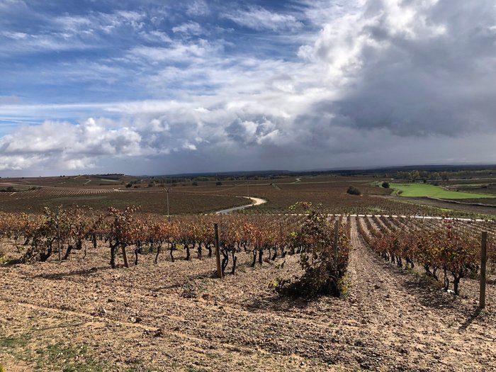 Imagen 4 de Bodegas Duron