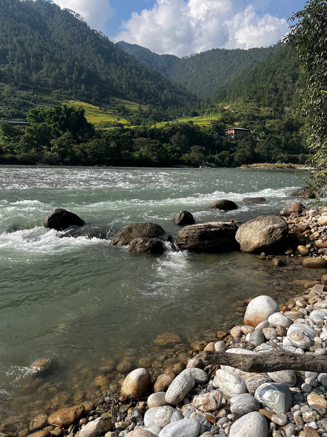 PEMAKO PUNAKHA - Updated 2025 Prices & Resort Reviews (Bhutan)