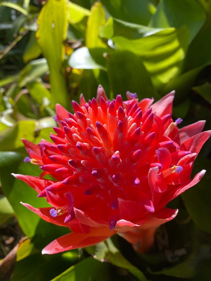 Imagen 10 de Jardín Botánico