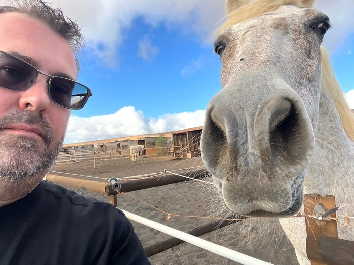 Imagen 9 de Horses Lanzarote