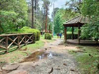 Tripadvisor  Arborismo en el huerto forestal - Campos do Jordão