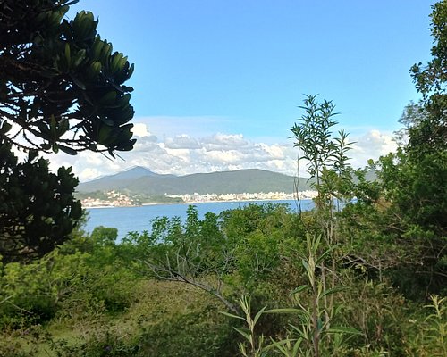 As melhores trilhas em Canhanduba, Santa Catarina (Brasil)