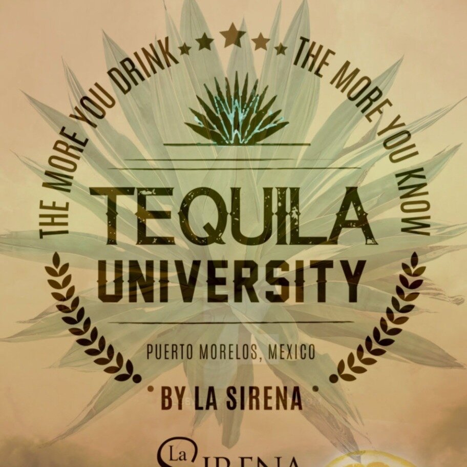 Tequila University All You Need To Know BEFORE You Go 2024   Caption 