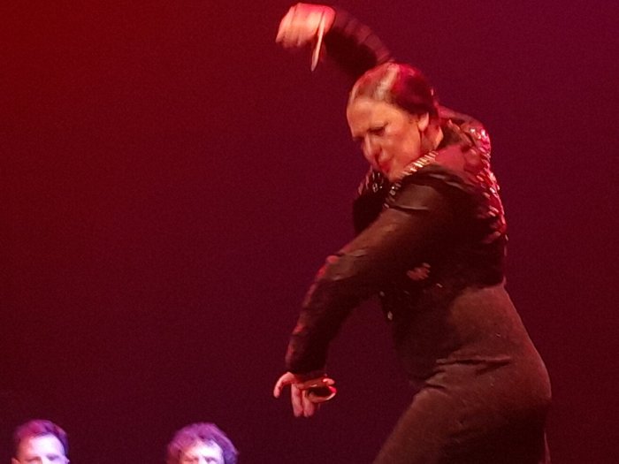 Imagen 6 de Teatro Flamenco Sevilla