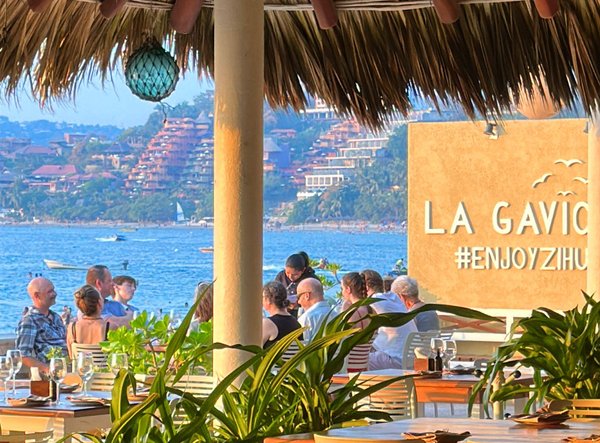 Where to Eat Vegan in Puerto Vallarta Mexico - And a Vegan-Friendly Resort!