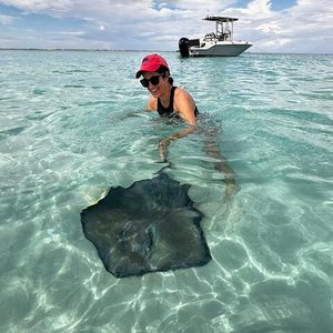 Saiba como é nadar com arraias em Stingray City, nas Ilhas Cayman