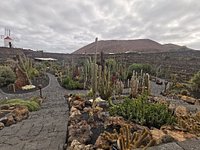 Jardin de Cactus - All You Need to Know BEFORE You Go (with Photos)