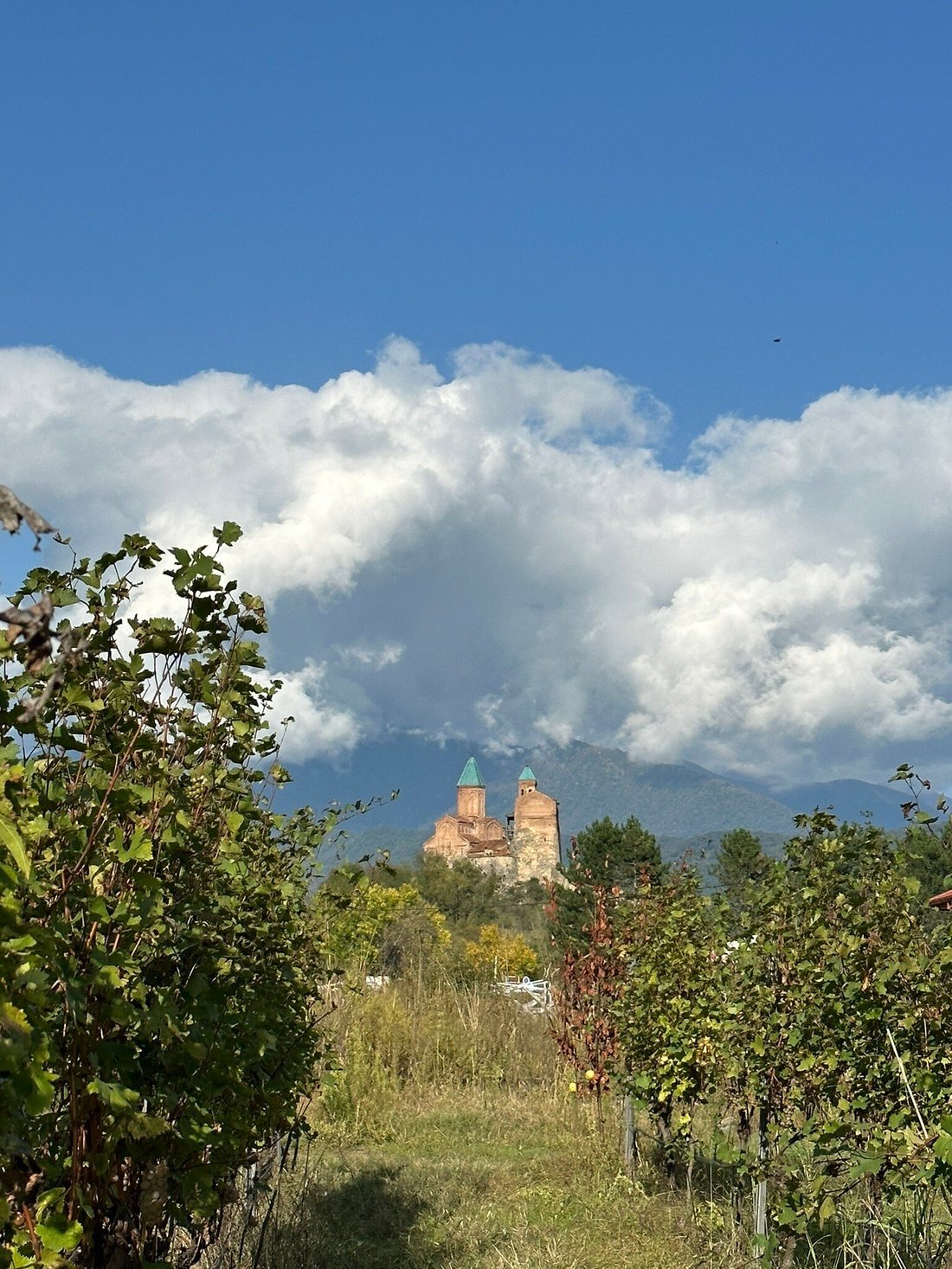 CHATEAU GREMISIO (Энисели) - отзывы и фото - Tripadvisor