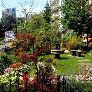 Victoria's Mansion Gardens