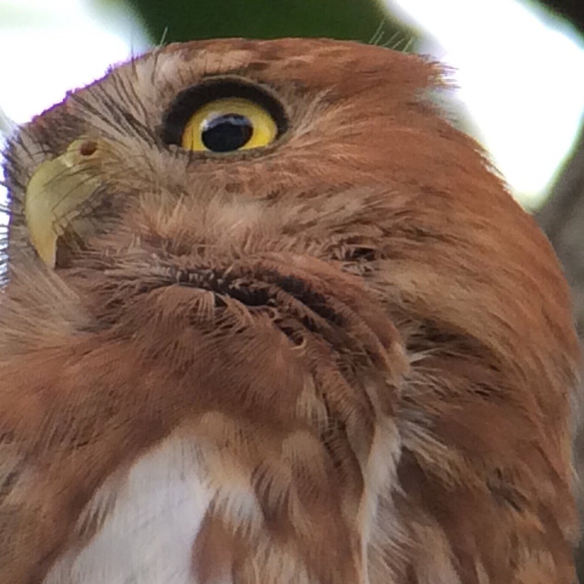 Travel and Birding (Jacó) Lohnt es sich? Aktuell für 2023 (Mit fotos)
