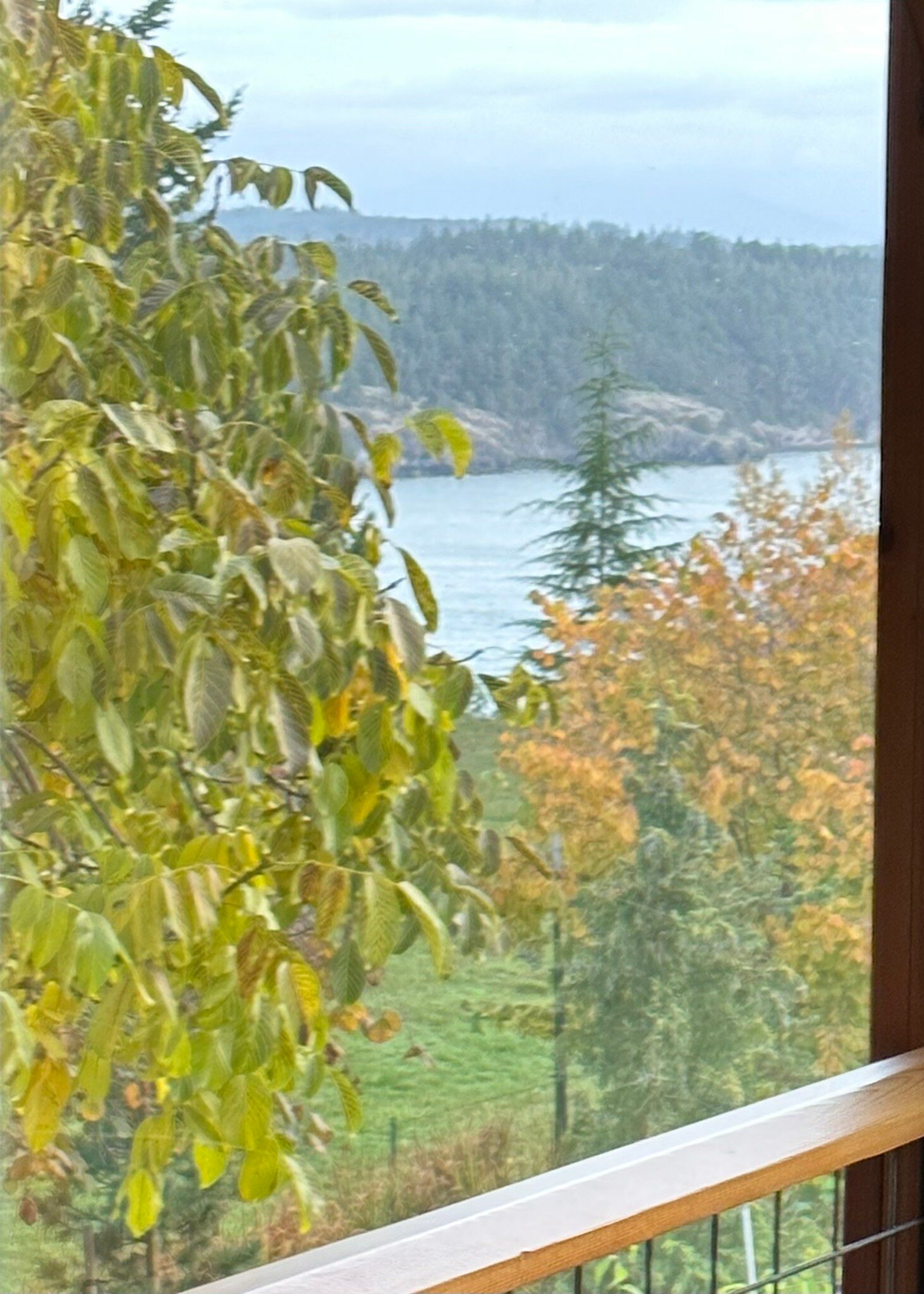 THE BLUFF ON WHIDBEY BED & BREAKFAST - Prices & Specialty B&B Reviews ...