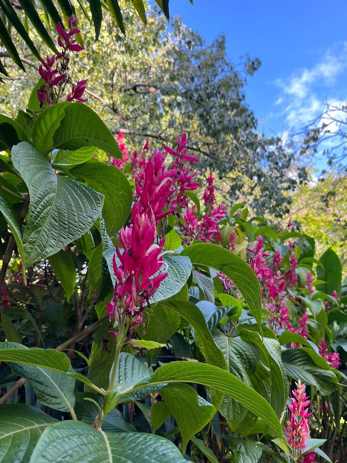 Imagen 5 de Jardín Botánico