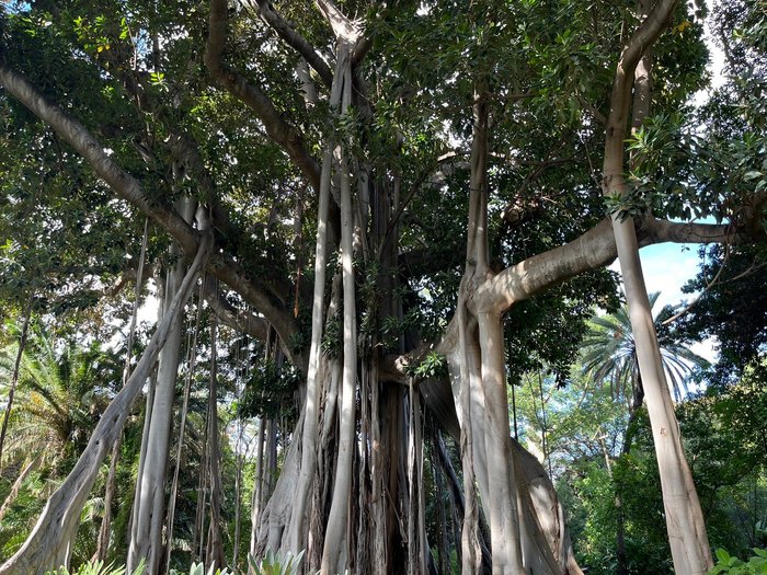 Imagen 4 de Jardín Botánico