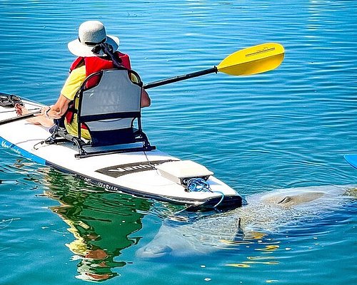jet ski tours sarasota