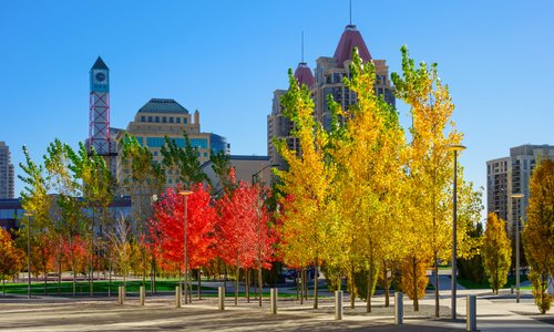 Celebration Square in Mississauga, Ontario is a vibrant gathering spot that hosts exciting events and concerts throughout the year. It's where the community comes together for good times and great memories.