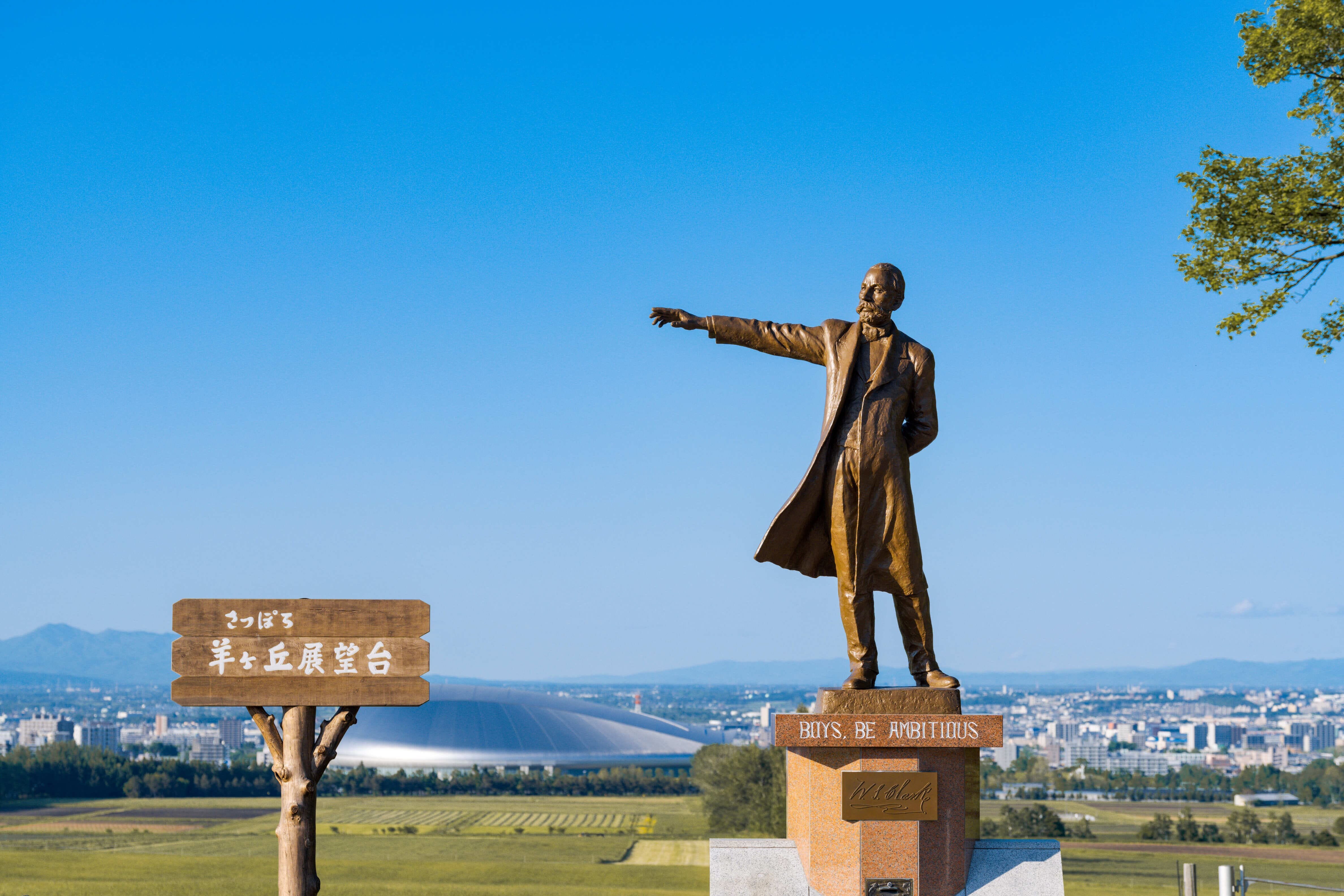 Sapporo Hitsujigaoka Observation Hill (2025) - All You Need