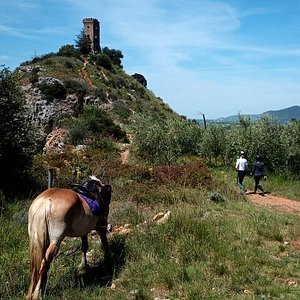 pacco-regalo - Riding Tuscany.com