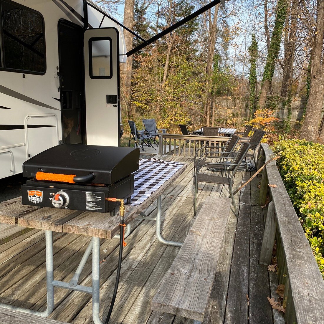MISTY MOUNTAIN CAMP RESORT - Updated 2025 Campground Reviews (Greenwood, VA) MISTY MOUNTAIN CAMP RESORT - Updated 2025... 
