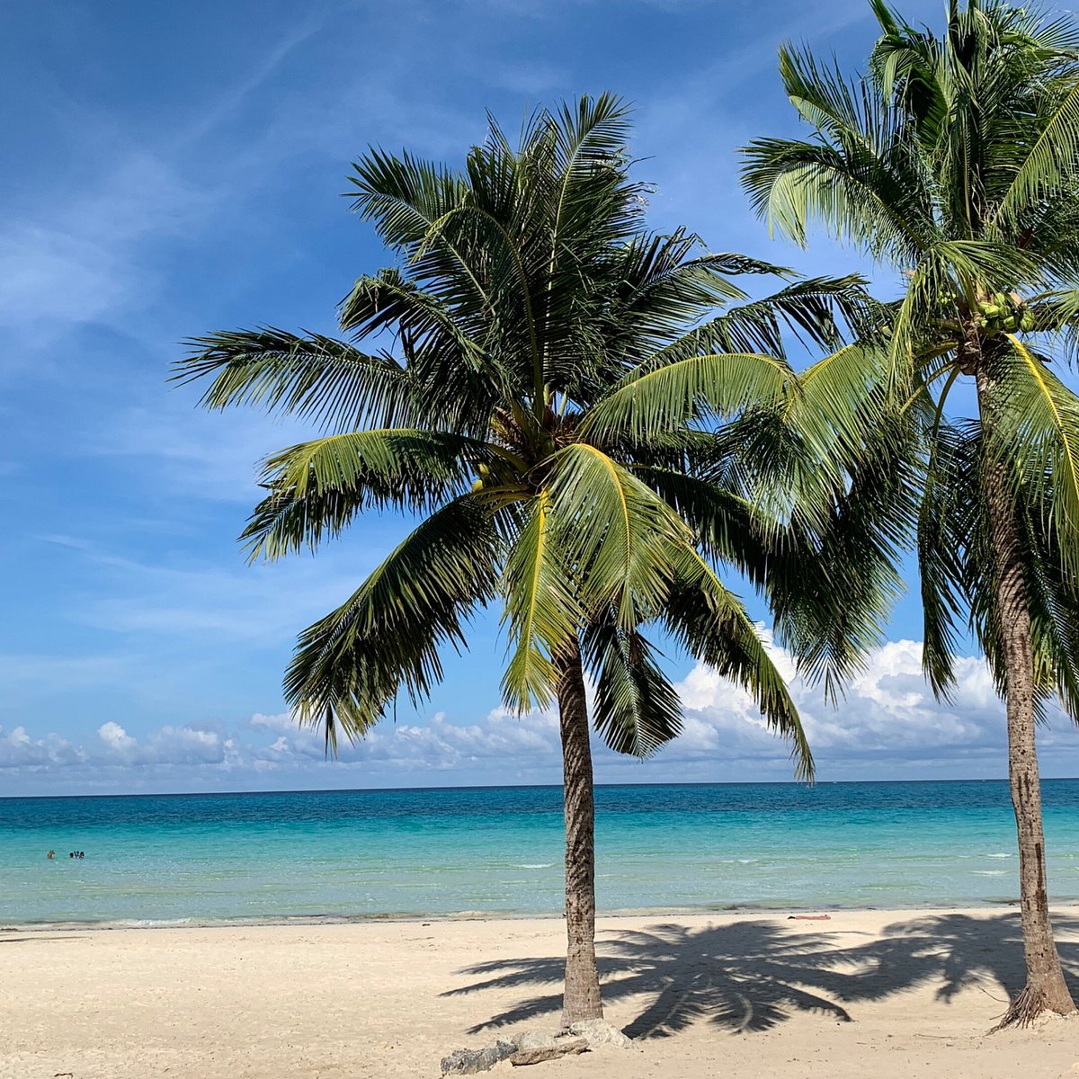 Venturista Travel (Manila, Philippines): Hours, Address - Tripadvisor