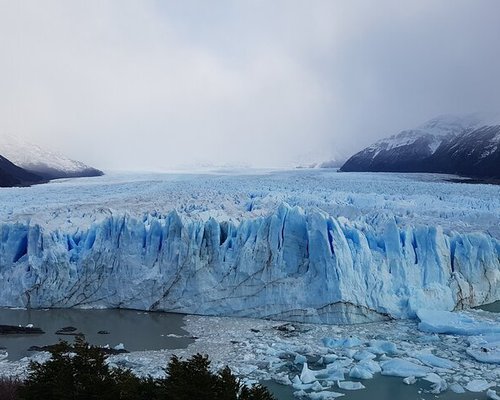  A Patagonia Wildlife Safari Adventure - El Calafate and Perito Moreno Glacier Experience