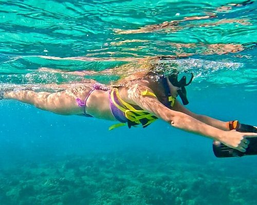 key biscayne tours