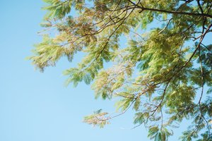 客房及套房