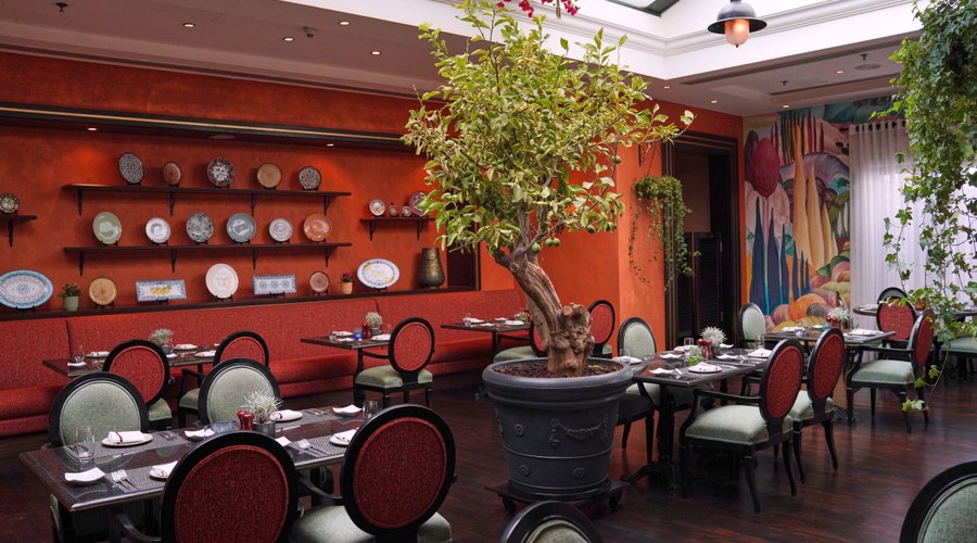 he restaurant frequently introduces Chef's Specials, featuring unique and seasonal dishes that showcase the creativity and innovation of the culinary team. 