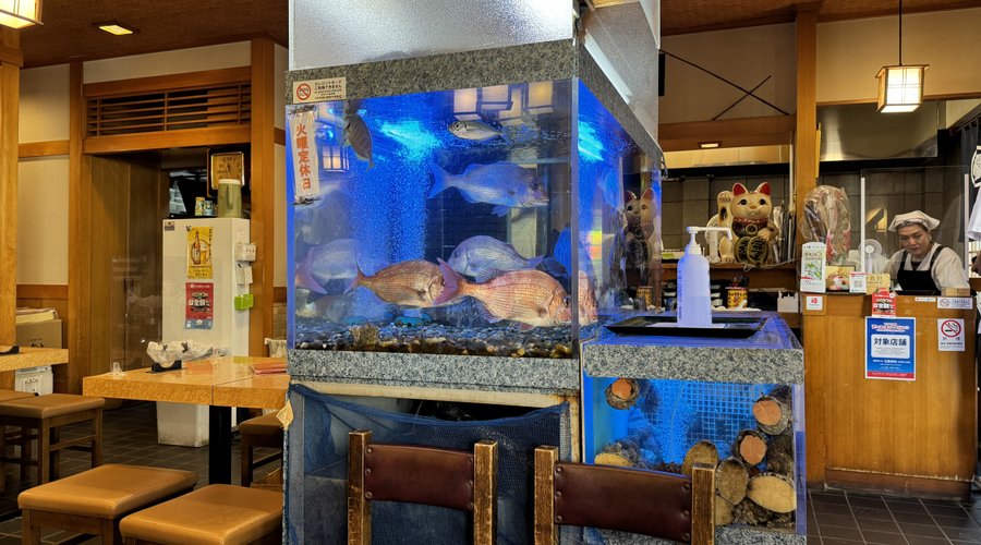 店の入口にあるいけす